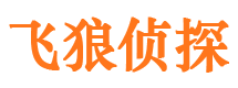 神池职业捉奸人